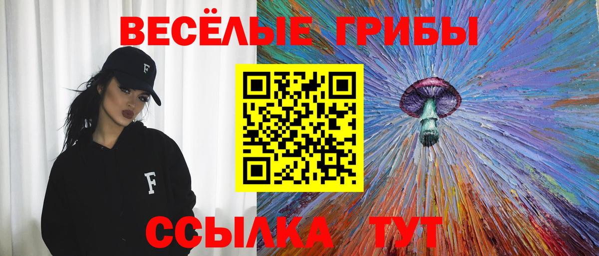 Галлюциногенные грибы Cubensis  Вход с VPN  Красноярск 